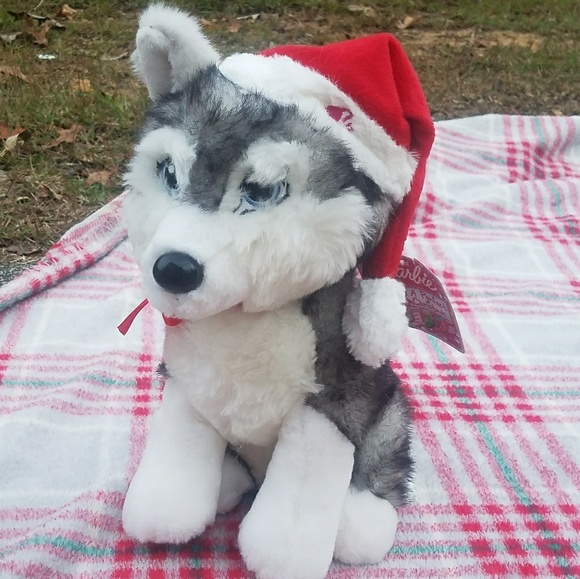 barbie husky